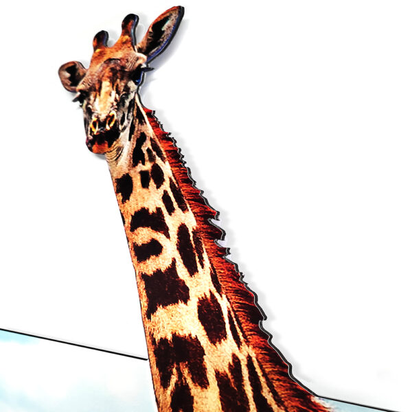 Giraf dibond uitstekend nek detail zijkant