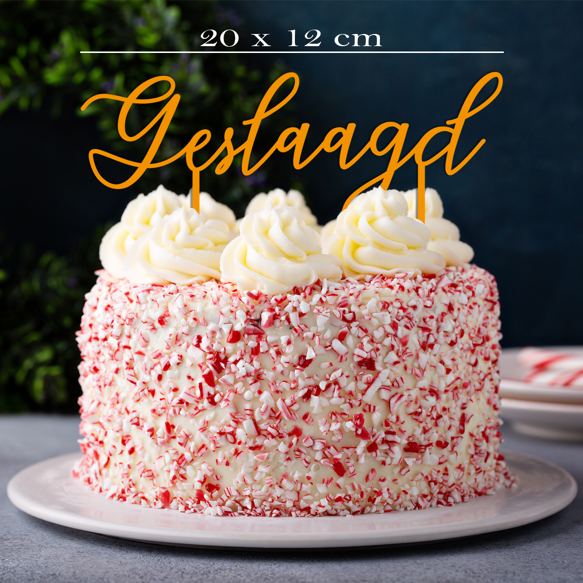 geslaagd cake toppers met tekst + lengte