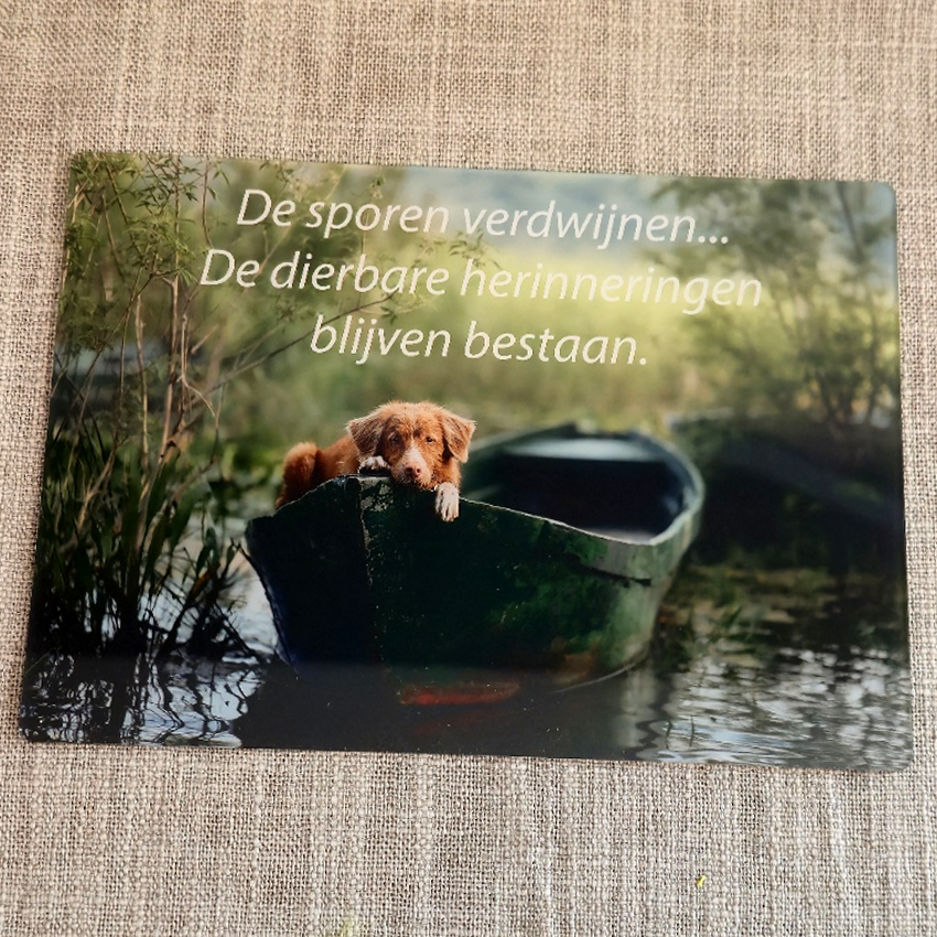 Bovenaanzicht kaart los