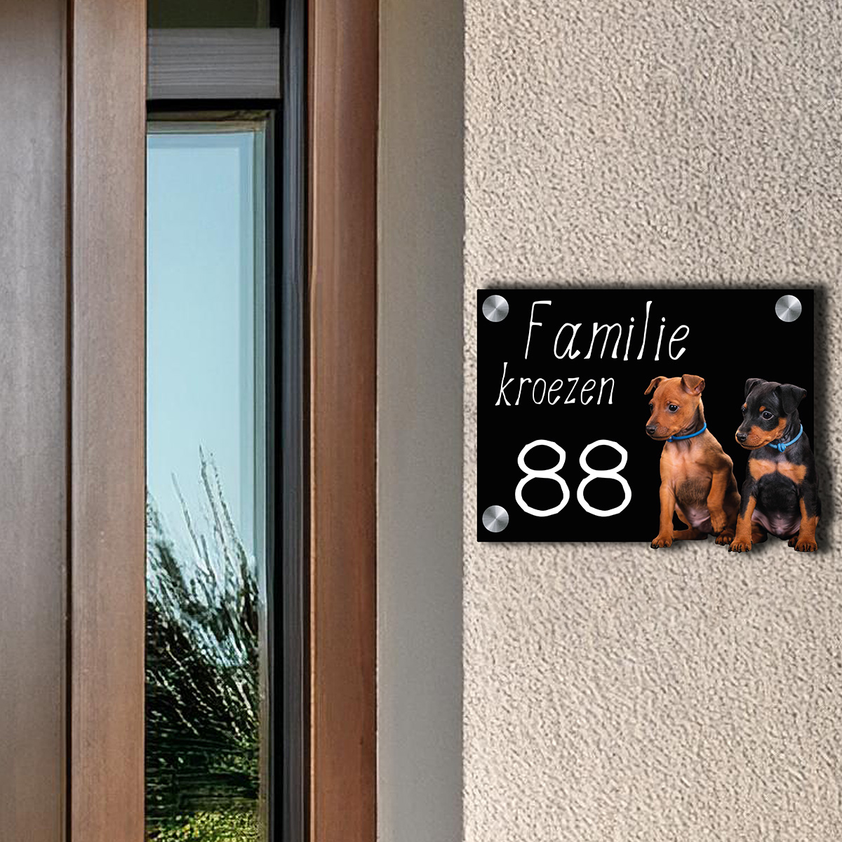 Dwergpinscher pups met voordeur foto