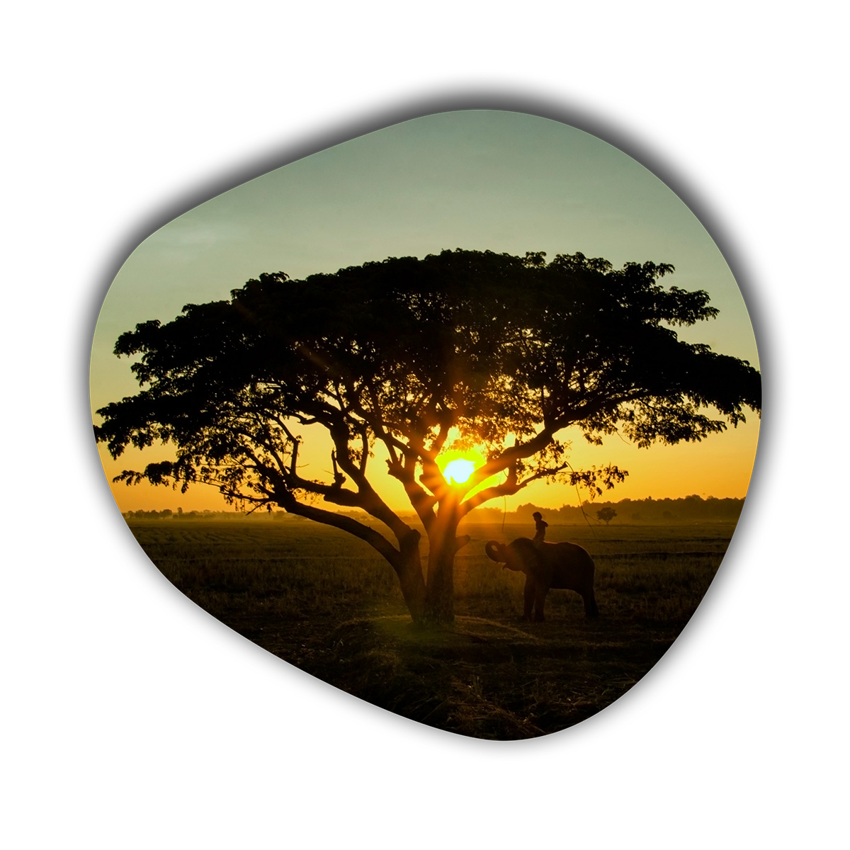 Organische vorm3 met afrikaanse boom wanddecoratie
