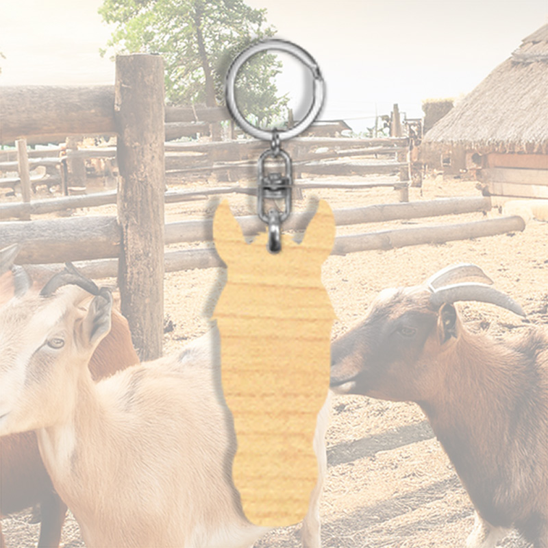 Houten sleutelhanger met silhouette Paard