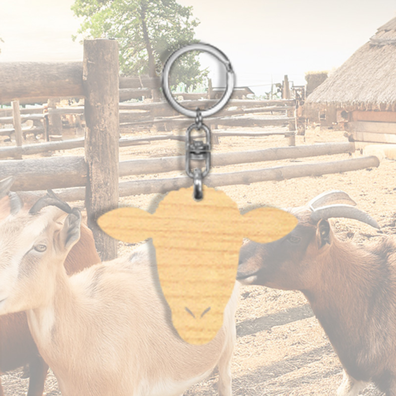 Houten sleutelhanger met silhouette Schaap 2