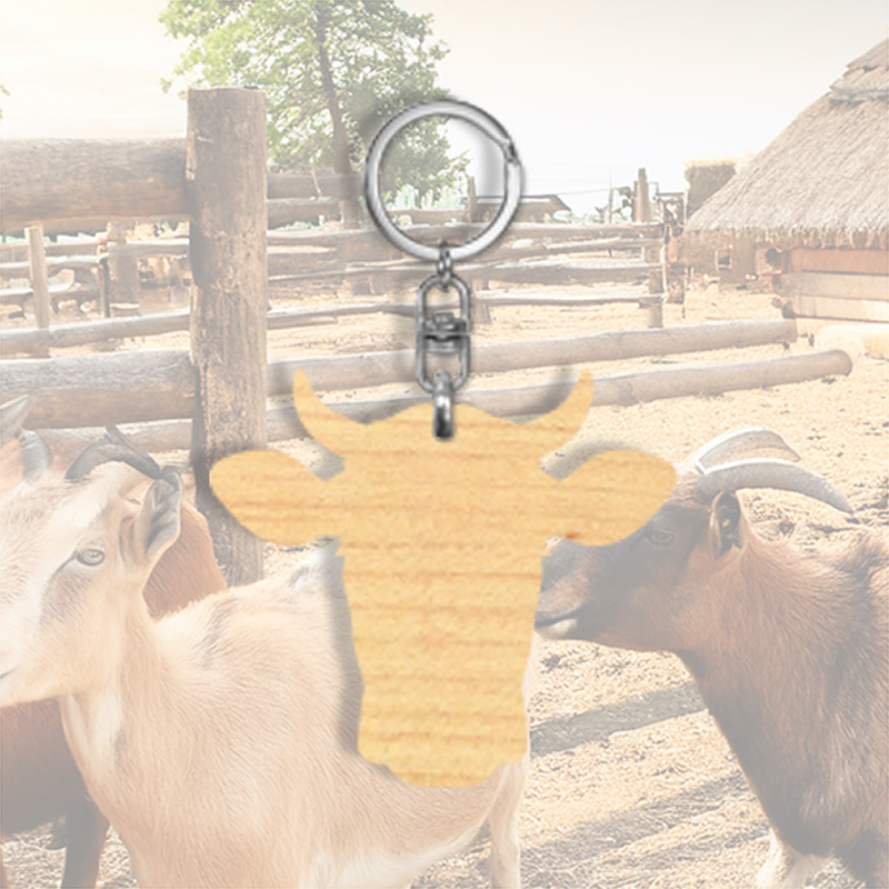 Houten sleutelhanger met silhouette Stier