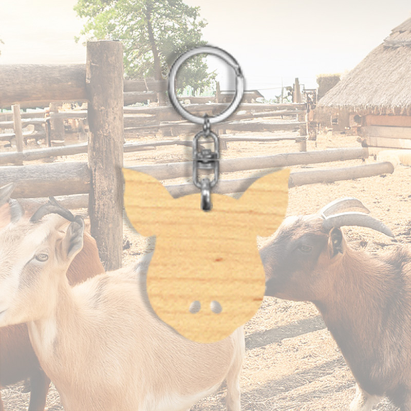 Houten sleutelhanger met silhouette Varken 2