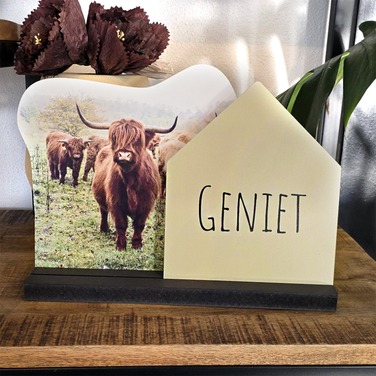 Setje 2 forex kaartjes set van 2 met zwarte houder