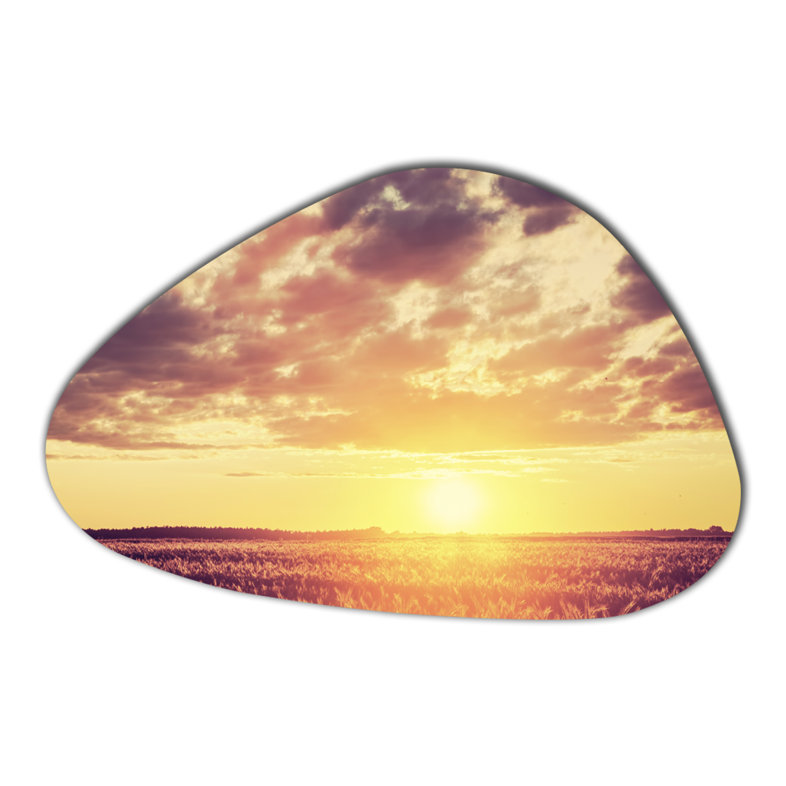 Organische wanddecoratie vorm 6 liggend zonsondergang
