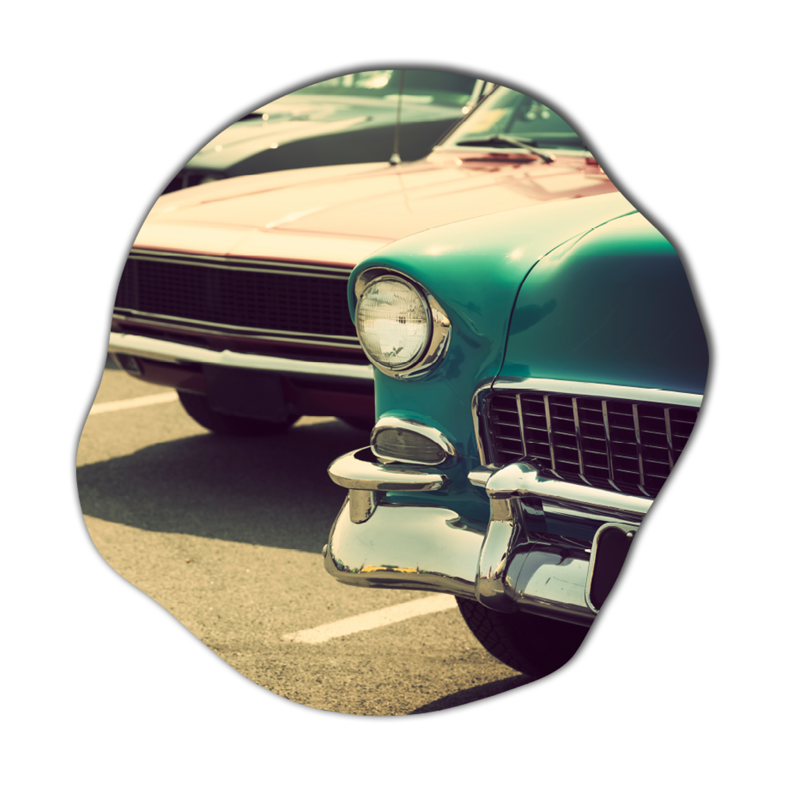 organische wanddecor 6 met old timers
