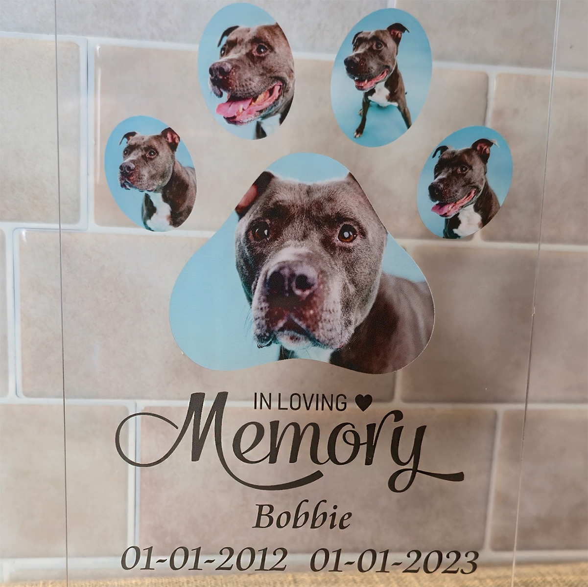 gedenk kaartje plexiglas met honden poot en eigen foto's